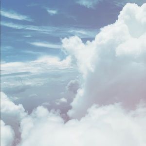 Meet your Posher, Bree